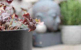 Exklusive Designferienwohnung The Backyard Tby 02